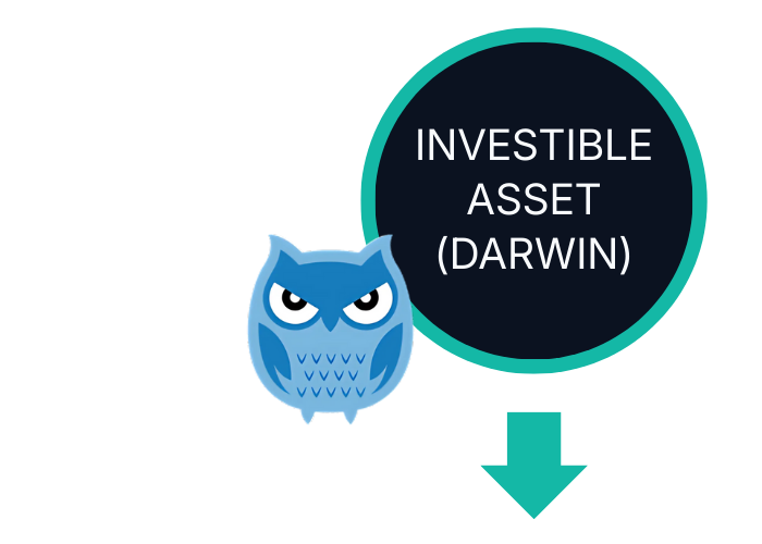 Darwinex investible asset